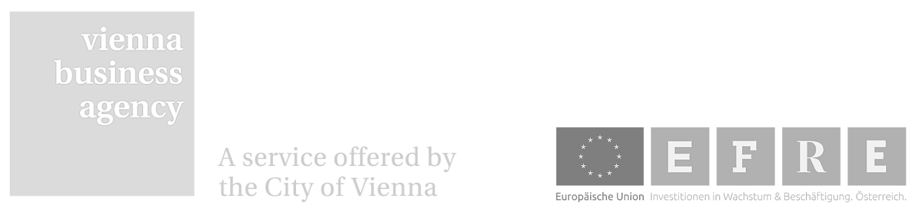 Vienna Business Agency Logo
